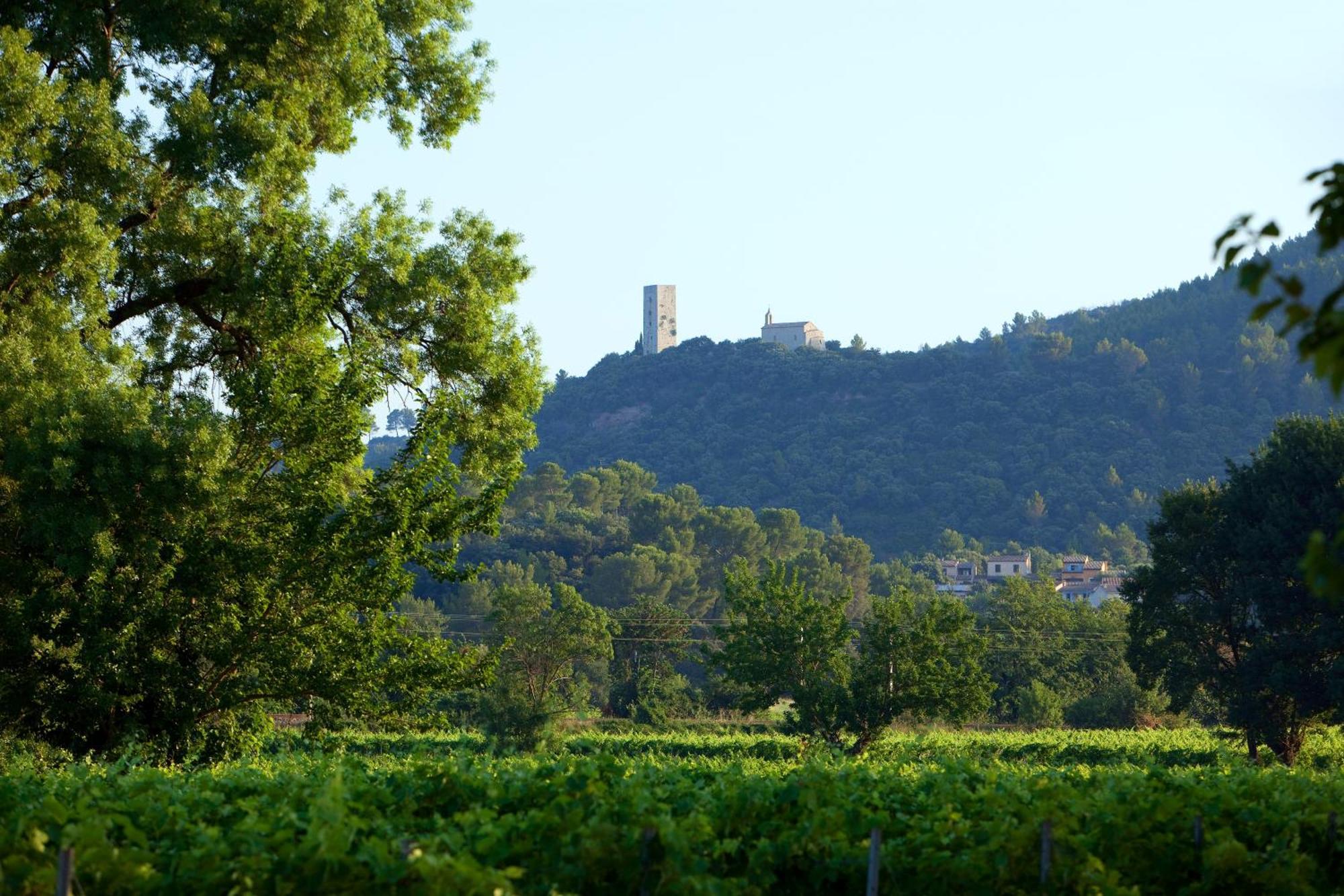 Chateau De Saint Martin Taradeau Exteriér fotografie