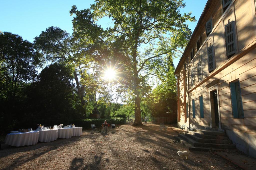 Chateau De Saint Martin Taradeau Exteriér fotografie